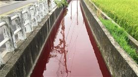 廢水,后里,排放,油漆桶,排水溝,環保局
（圖／翻攝自后里幫）