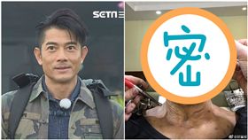 郭富城（合成圖/翻攝自中天提供,微博）