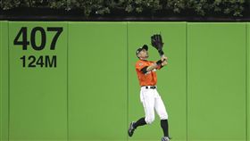 ▲鈴木一朗打破美國職棒鎮守中外最年長紀錄。（圖／美聯社／達志影像）
