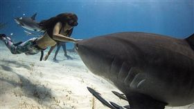 圖／翻攝自sharkgirlmadison Instagram