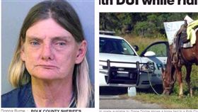 佛州,酒駕,喝醉,喝酒,騎馬,Donna Byrne,婦人,路人,高速公路,虐待 圖／翻攝自cbsNEWS https://goo.gl/HiWC65