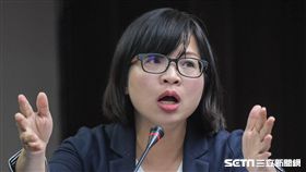 民進黨立委林淑芬，衛環委員會。 圖／記者林敬旻攝