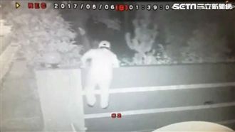 翻牆潛豪宅偷元寶　警循線逮毒送貨員