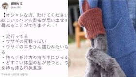 包包,兔子,形容,屍體,耳朵,手提袋,搜尋,名子,時尚,日本　圖／翻攝自推特　https://goo.gl/gnTBtX