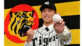 呂彥青加盟日本職棒阪神虎。（圖／翻攝自Daily）