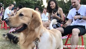 民眾參與台北丹尼波爾音樂日（2）2017台北丹尼波爾世界音樂日16日在台北客家文化主題公園舉行，盼透過音樂凝聚愛與和諧，並紀念死於恐怖分子手中的美國華爾街日報記者丹尼波爾（Daniel Pearl），活動吸引許多民眾參與，有些人也帶著寵物前來，在草地上共度悠閒時光。中央社記者吳翊寧攝　106年9月16日