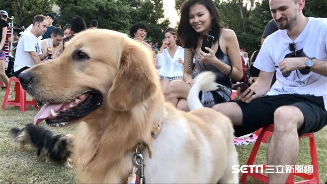 照顧生病寵物易焦慮　專家授紓壓法