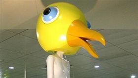 台北車站,鳥人,裝置藝術,日本人,朝聖,PTT,批踢踢　圖／翻攝自PTT