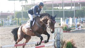▲林哲揚（中）與搭擋謝秉洋在團體賽中稱霸3屆冠軍。（圖／中華民國馬術協會提供）