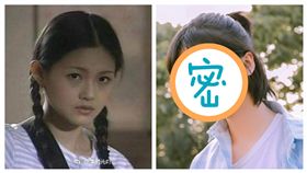 大S,流星花園,沈月（合成圖／翻攝自微博）