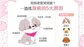 名家／毛起來／狗狗老是哭哭臉？快來看造成淚痕的5大原因！
