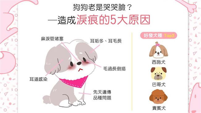 狗狗老是哭哭臉？造成淚痕有5大原因