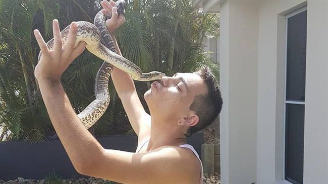 世界最毒蛇蛇吻　19歲捕蛇人命危