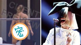 Sia,希雅,隱私,裸照,假髮,臀部,狗仔 （圖／翻攝自Sia推特）