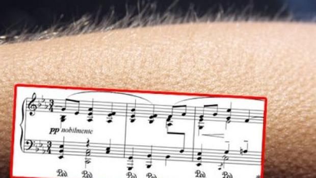 聽音樂起雞皮疙瘩　是大腦結構特別？
