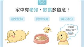 名家／毛起來／【高齡汪喵飲食】家中有老狗？飲食多留意！