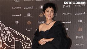 金馬,金馬53,金馬獎,紅毯,星光,張艾嘉（圖／記者邱榮吉攝）