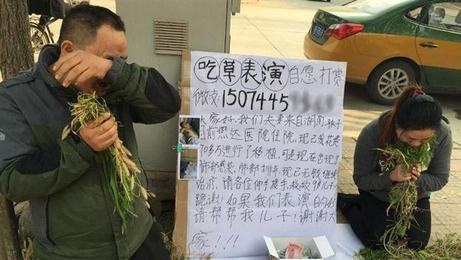鼻酸！為了救病兒　夫妻街頭表演吃草
