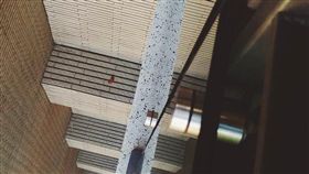 擲筊,聖筊,一層樓,遙遠,荒謬,Dcard　圖／翻攝自Dcard