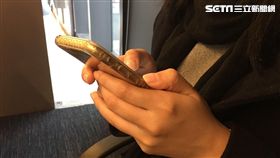 示意圖-閨密,低頭族,滑手機,簡訊(圖/資料照)