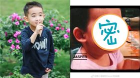 Jasper,小小春,嬰兒照/翻攝自微博