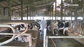 1109業配瑞穗獲獎