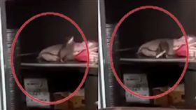 圖／翻攝自爆料公社