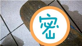 木屐,香菇,木耳,發霉,爆廢公社,加菜　圖／翻攝自爆廢公社