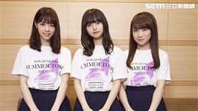 乃木坂46（圖／乃木坂46合同会社提供）