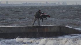 英國,虐狗,丟狗,海邊,虐待動物　圖／翻攝自RSCPA