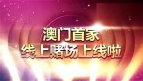 葡京娛樂城,廣告,運動,賽事,賭博,A片,情色片,賭客,博弈,AV　圖翻攝自／YouTube