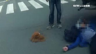 獨／嚇壞！車禍相撞驚見「人頭落地」