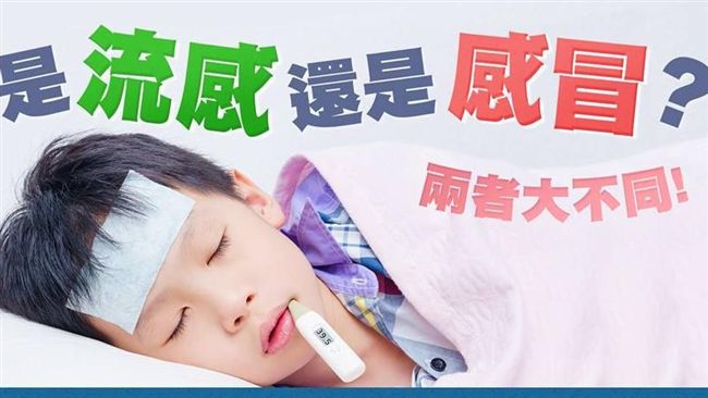 流感與一般感冒有何不同？這圖來解答