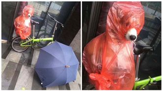 主人怕柯基淋雨這樣做　網友全笑翻