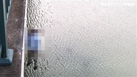 懸空屍體,台南,麻善大橋,自殺,