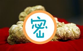 在義大利阿爾巴（Alba）白松露拍賣會中，850克的白松露以7萬5000歐元（約新台幣260萬）高價售出，依今（13）日的黃金牌價，850公克的黃金約新台幣105萬，價格相差2倍之多！（圖／路透社／達志影像））