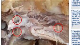 KFC,炸雞,蛆,澳洲,肯德基（圖／翻攝自dailymail）http://www.dailymail.co.uk/news/article-5072313/Sydney-woman-finds-maggots-KFC-chicken-meal.html#v-8187337207134634875