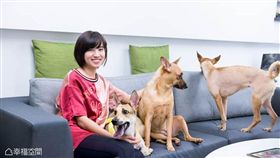 名家專用／幸福空間／米可白億元豪宅生活大公開 汪星人當家豪宅變狗窩（勿用）