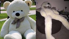 網拍,熊娃娃,娃娃,亞馬遜,長腿　圖／翻攝自推特