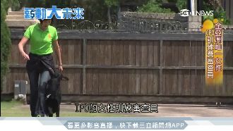 警犬IPO訓練　亞洲第一位女審查員