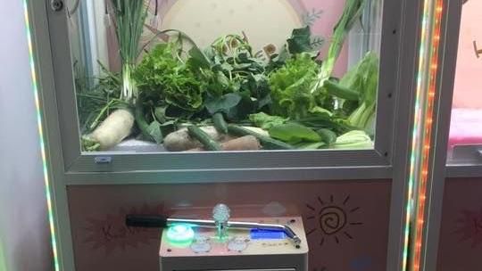 「青菜機」意外爆紅　背後真相有洋蔥