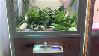 「青菜機」意外爆紅　背後真相有洋蔥