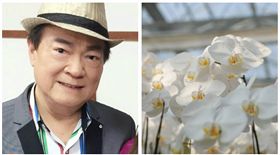 ▲劉福助投資失利慘賠。（圖／翻攝自劉福助臉書）
https://www.facebook.com/profile.php?id=100011934408344