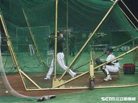 ▲台灣犬中華隊在亞冠賽只使用1個打擊籠。（圖／記者蕭保祥攝）