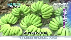 體罰聽障.生0900