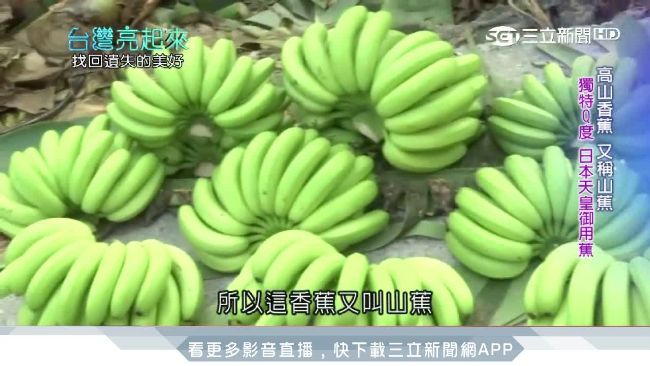 力拚日韓！她催生台唯一香蕉觀光工廠