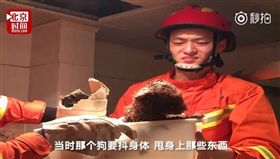 ▲紅貴賓全身沾滿屎尿，消防員不禁皺眉。（圖／翻攝自時間視頻微博）
