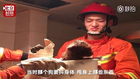 毛孩滿身屎！消防員皺眉　笑翻網友