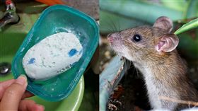 肥皂,香皂,老鼠 圖／翻攝自Pixabay、爆廢公社