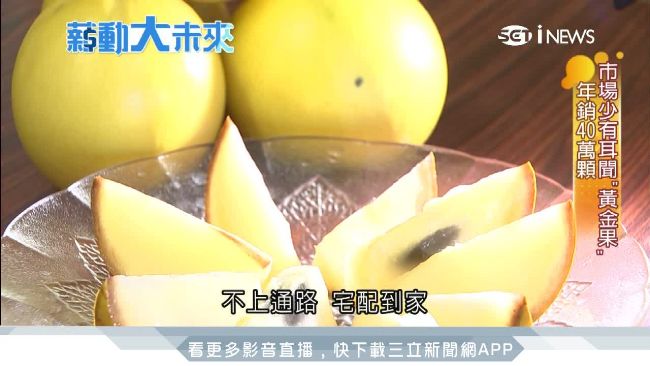 「黃金果」年銷40萬！前進南向市場